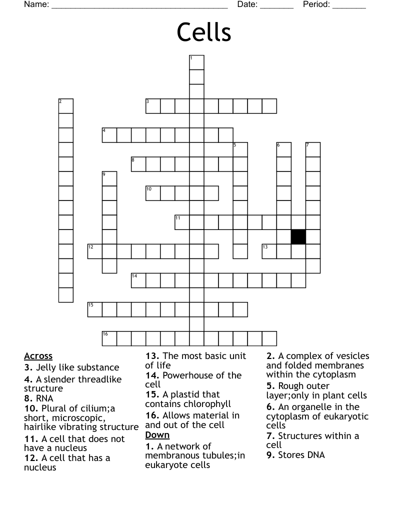 Cells Crossword
