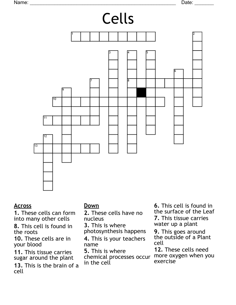 Cells Crossword
