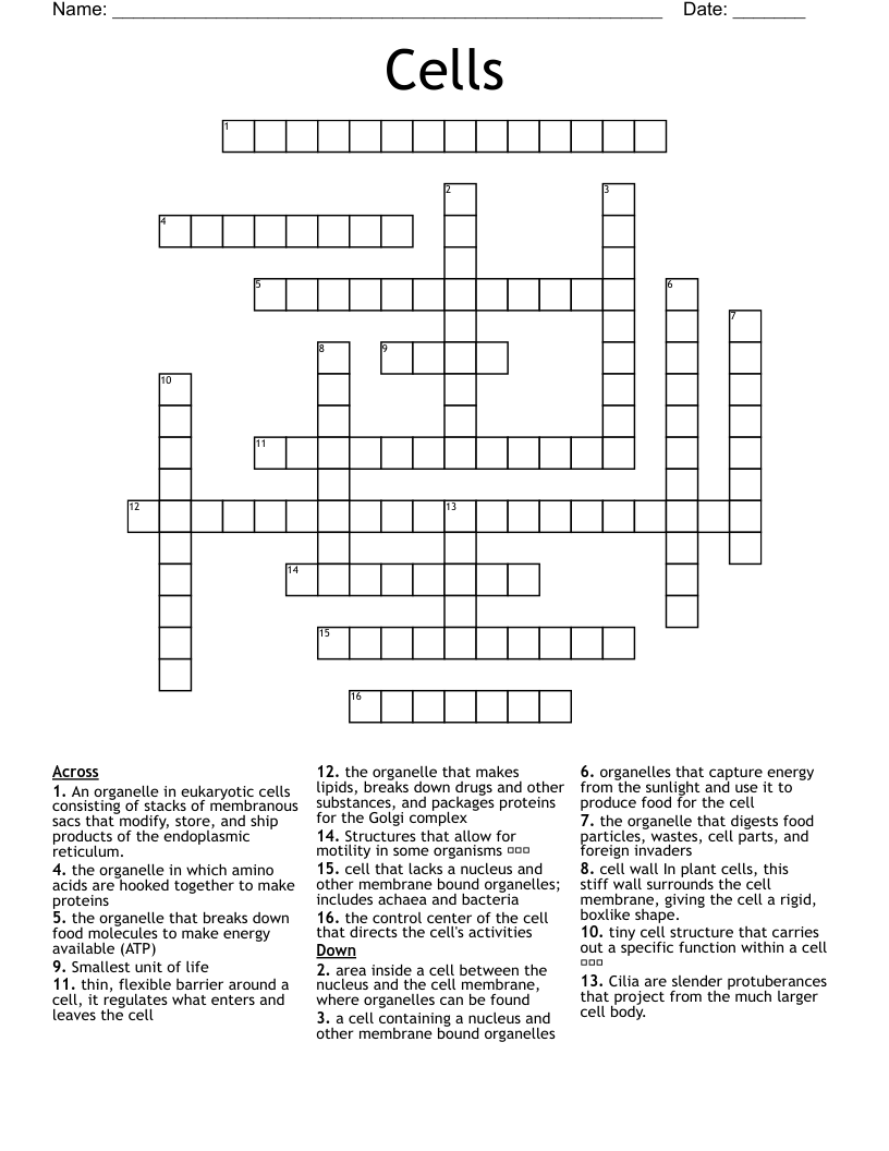 Cells Crossword