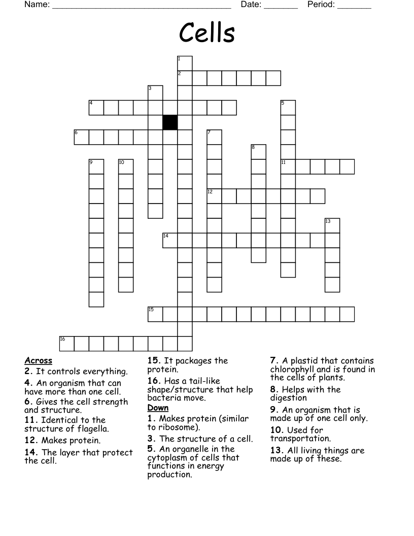 Cells Crossword