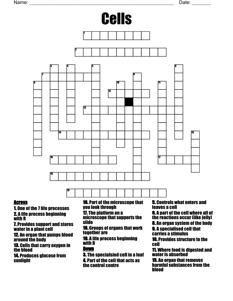 Cells Crossword