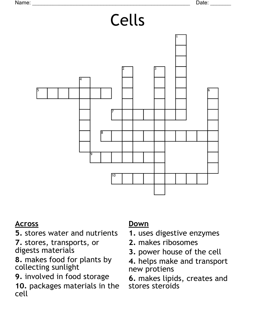 Cells Crossword