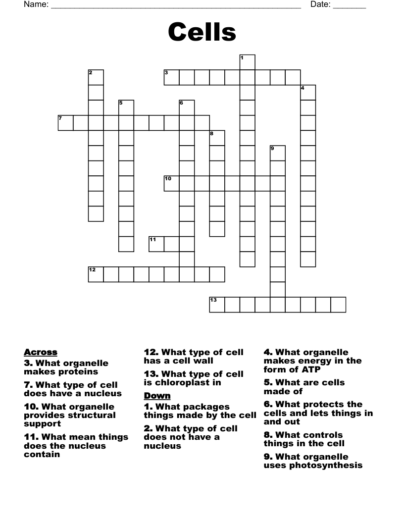 Cells Crossword