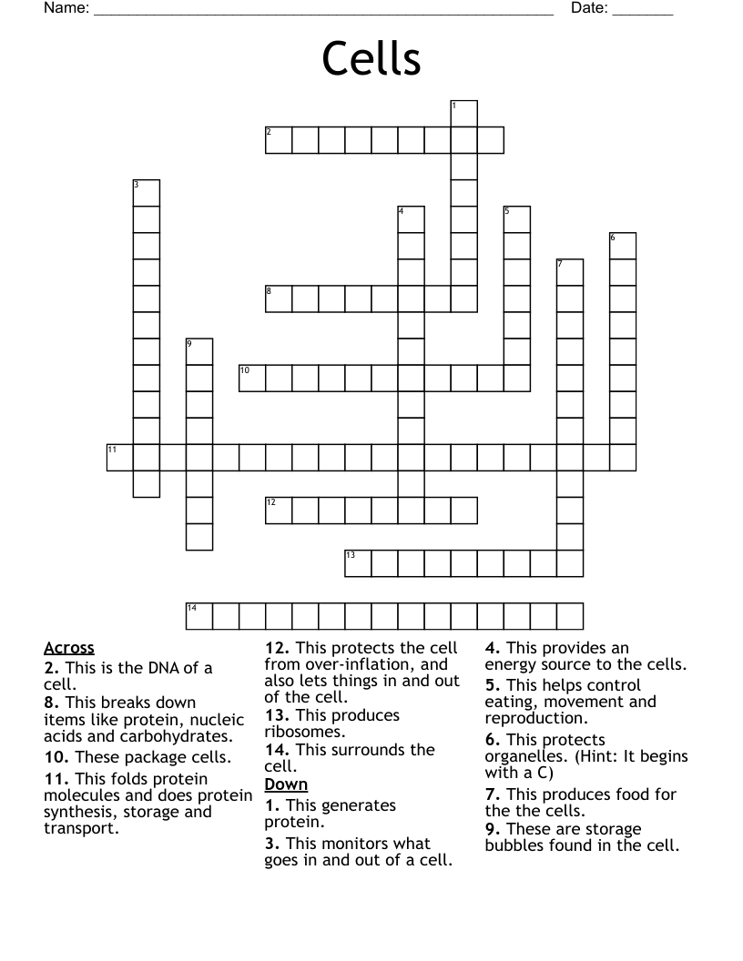 Cells Crossword