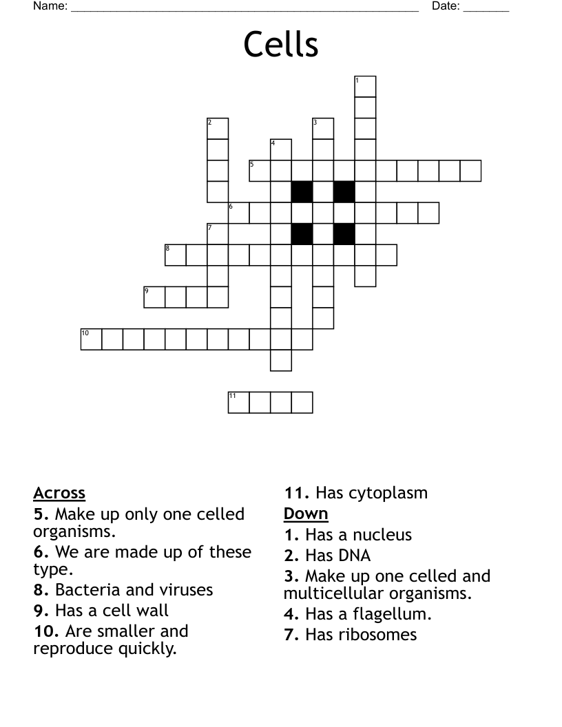 Cells Crossword