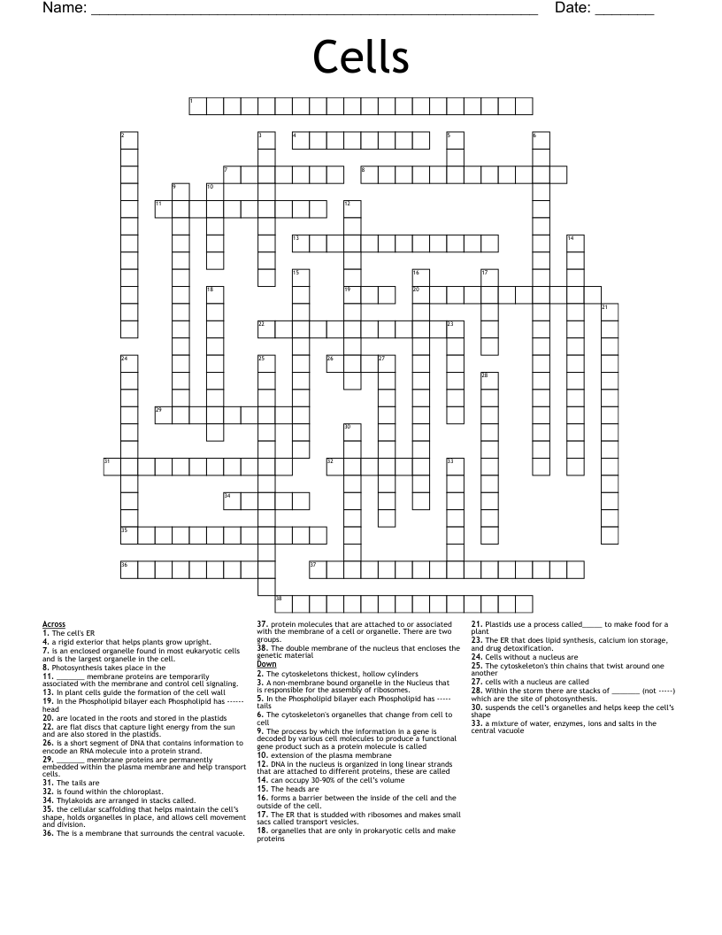 Cells Crossword