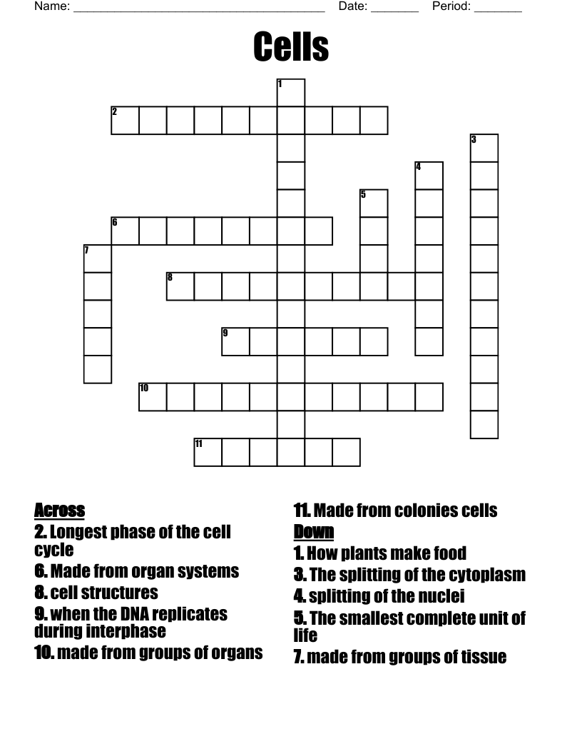 Cells Crossword
