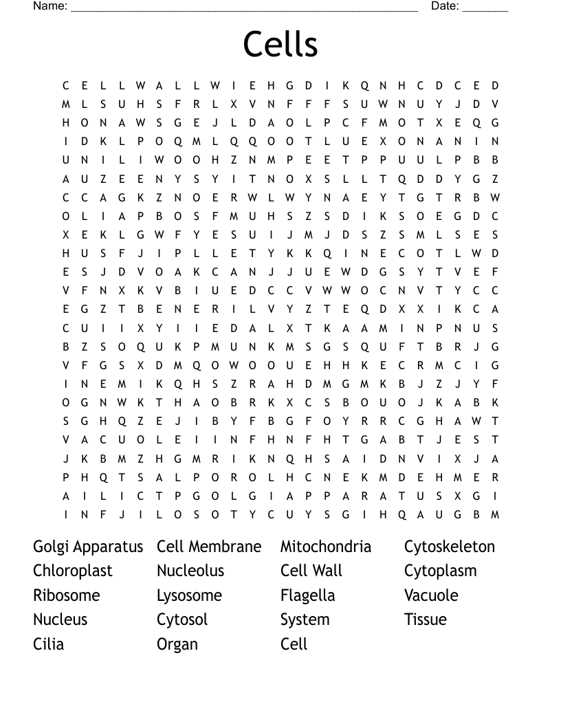 Cells Word Search