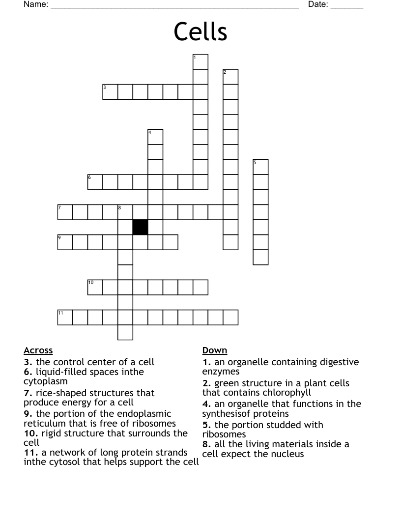 Cells Crossword