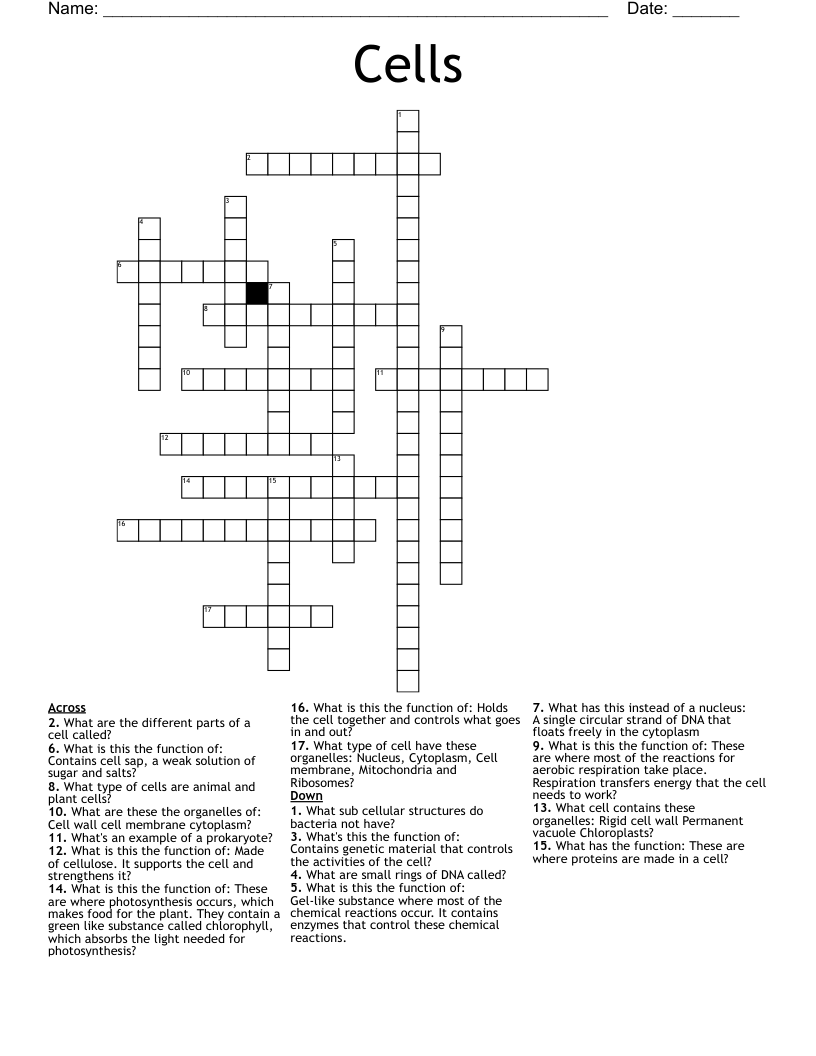 Cells Crossword