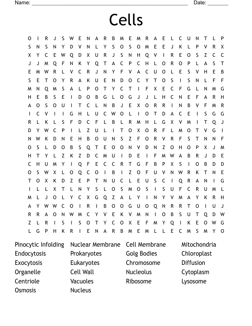 Cells Word Search