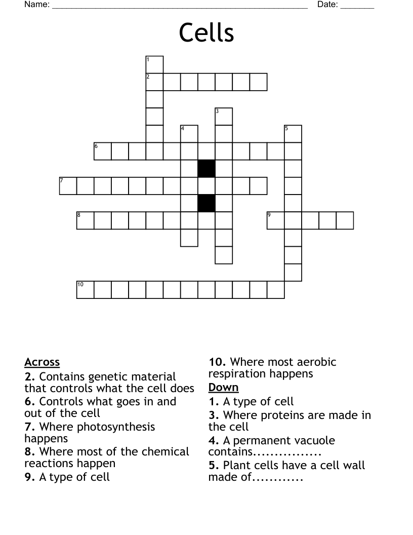 Cells Crossword