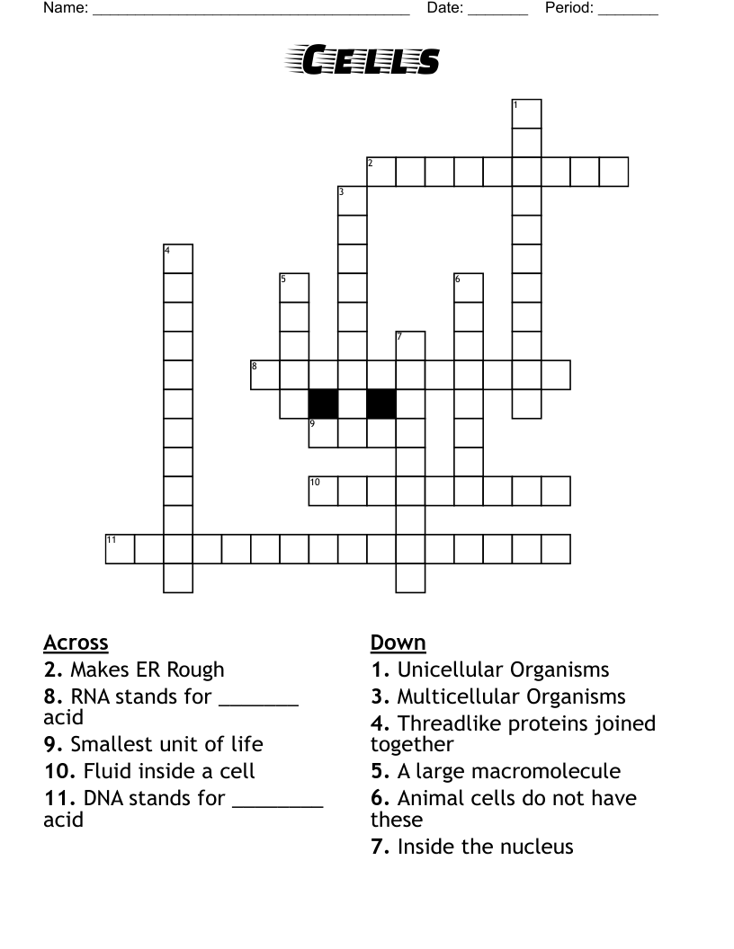 Cells  Crossword