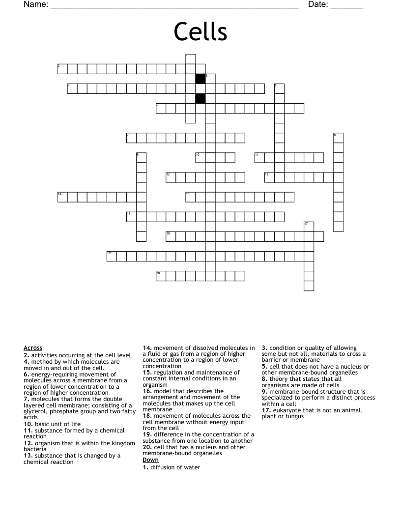 Cells Crossword