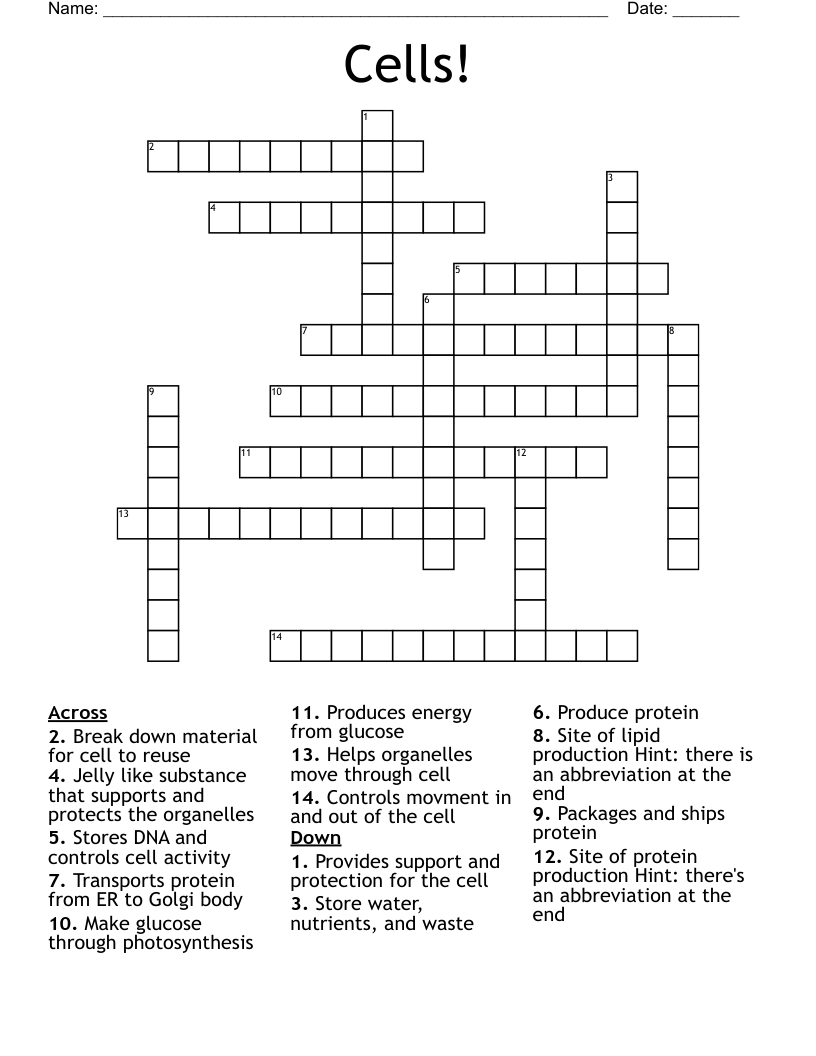 Cells! Crossword
