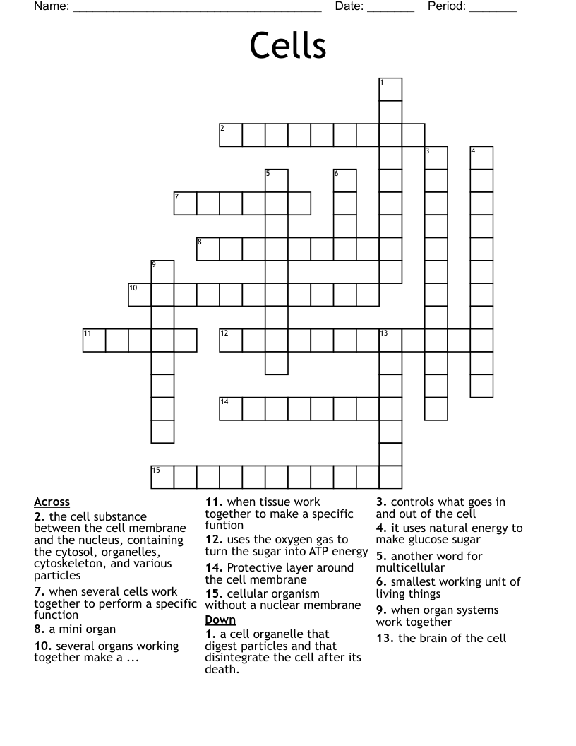 Cells Crossword