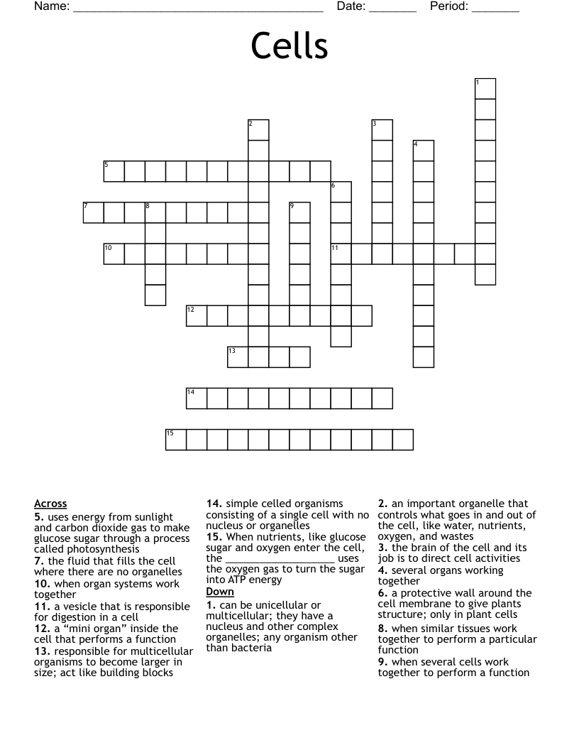Cells Crossword