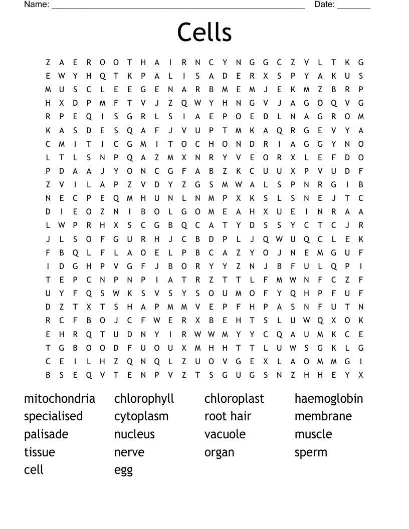 Cells Word Search