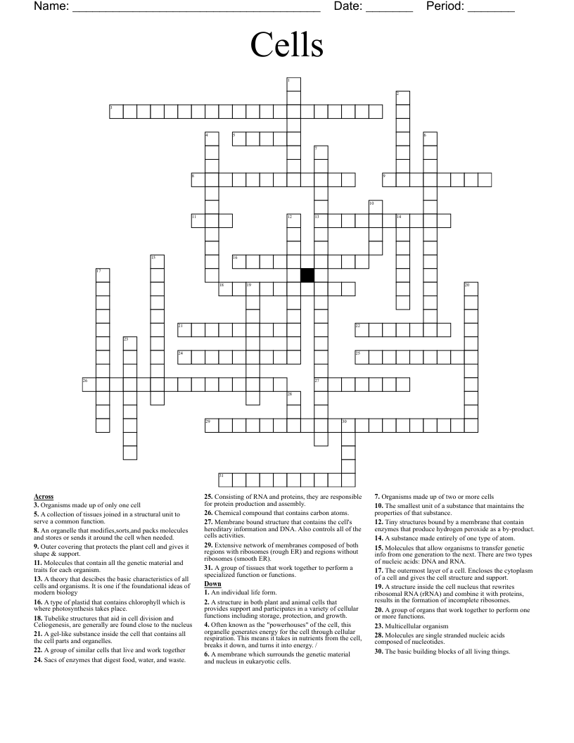 Cells Crossword