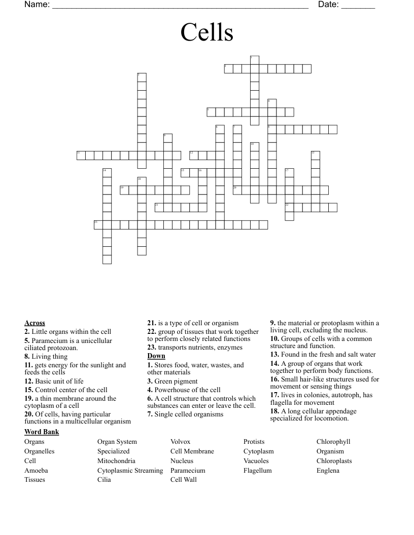 Cells Crossword