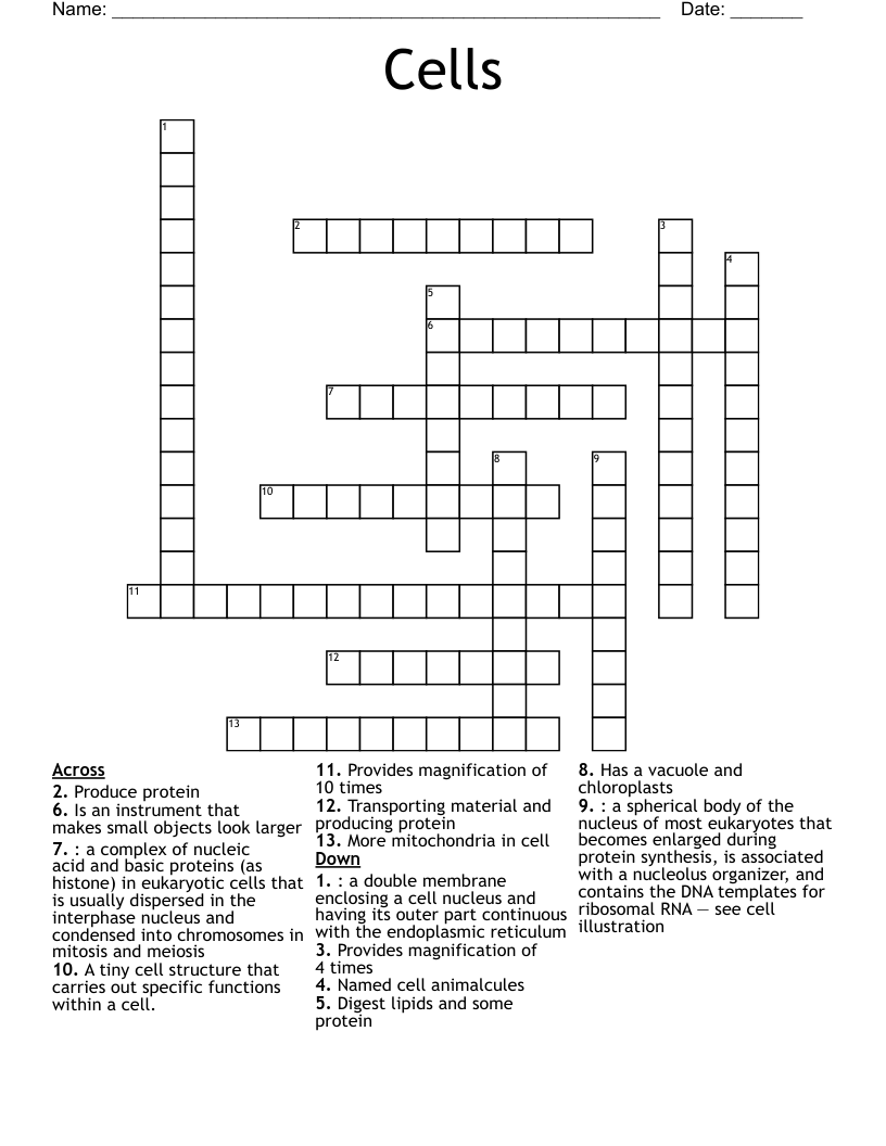 Cells Crossword