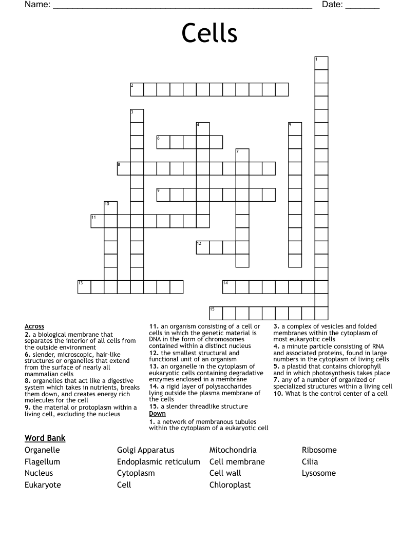Cells Crossword