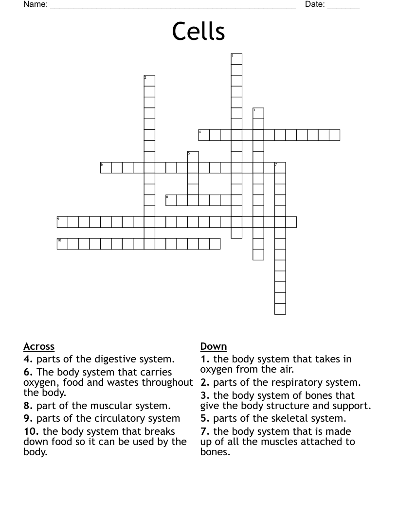Cells Crossword