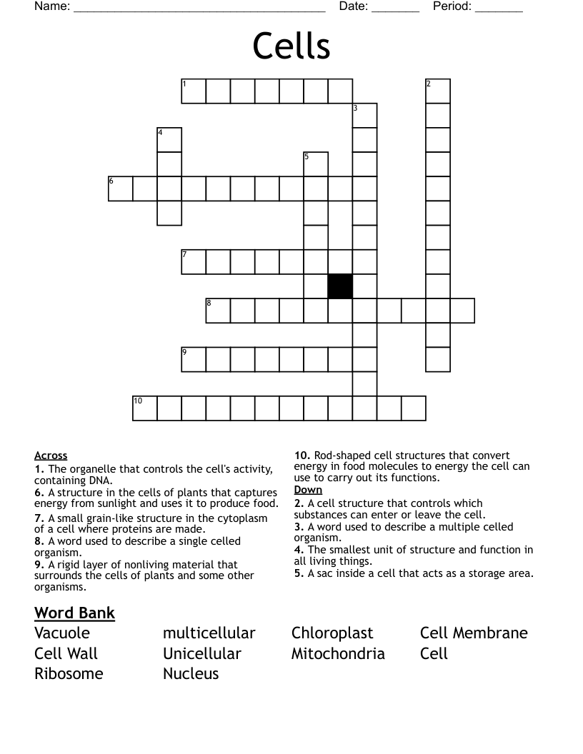 Cells Crossword