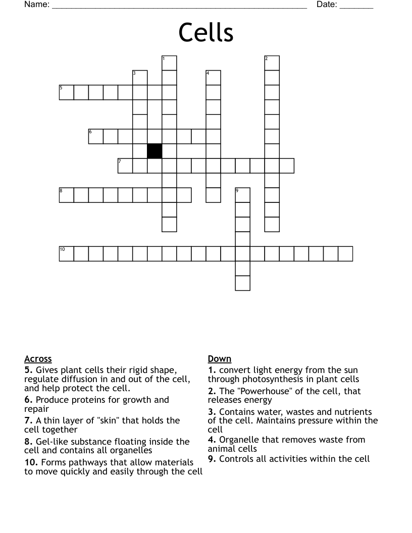Cells Crossword