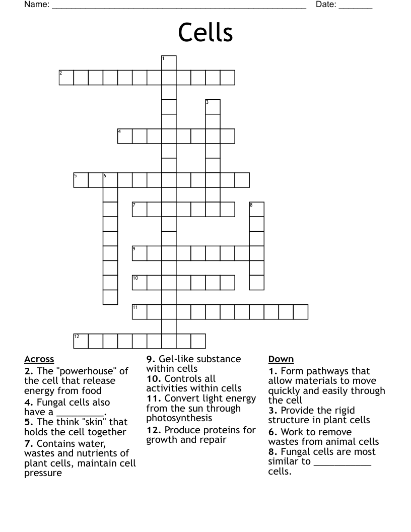 Cells Crossword