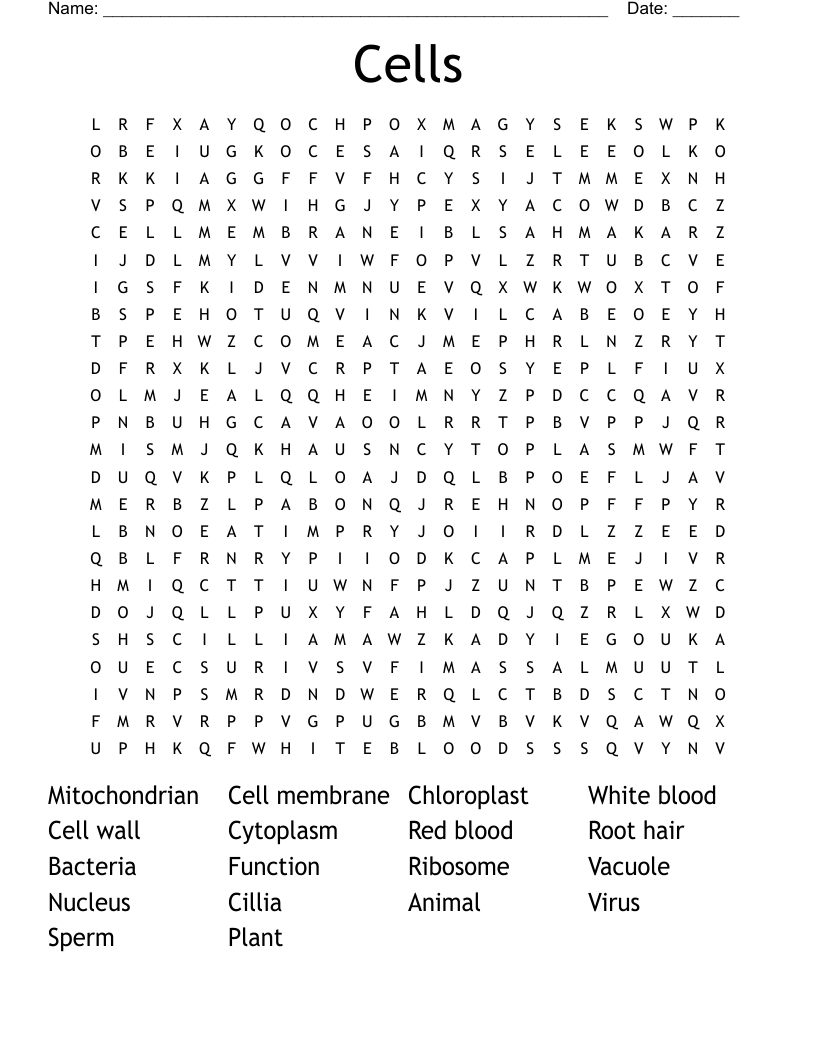 Cells Word Search