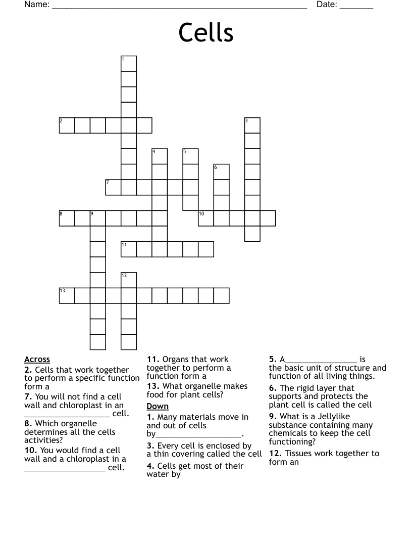 Cells Crossword