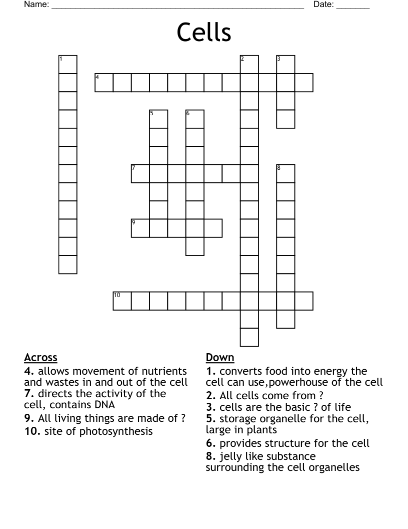 Cells Crossword
