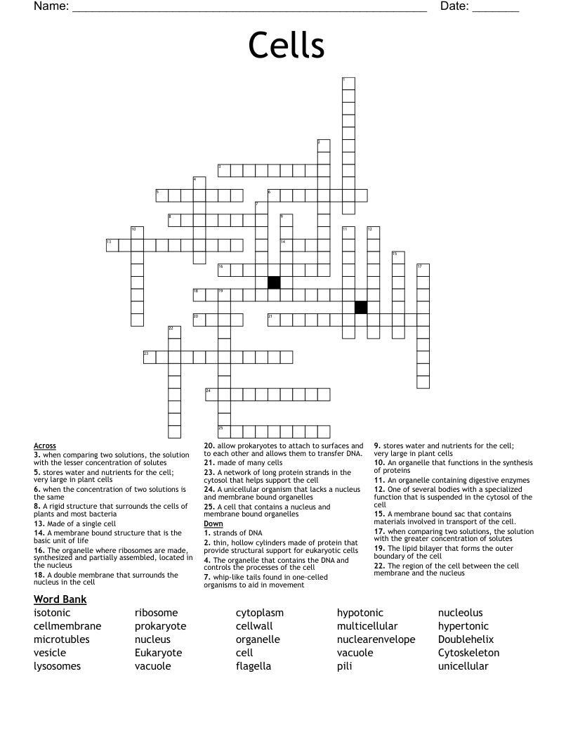 Cells Crossword