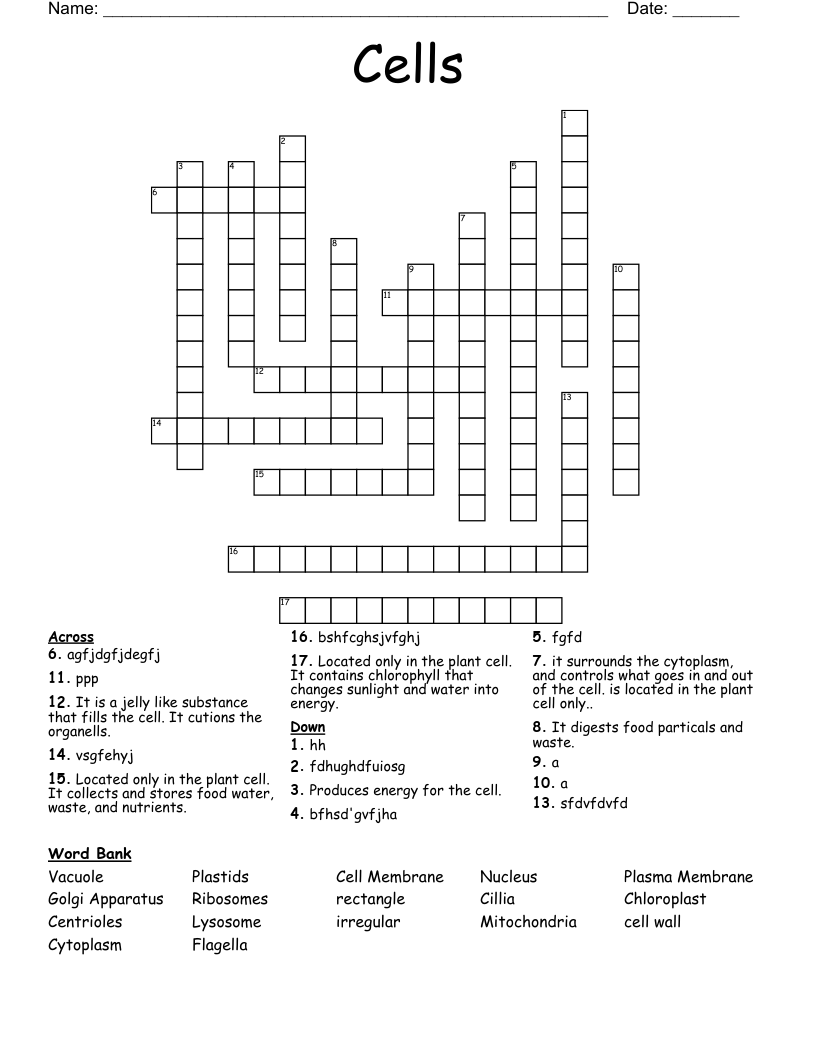 Cells Crossword