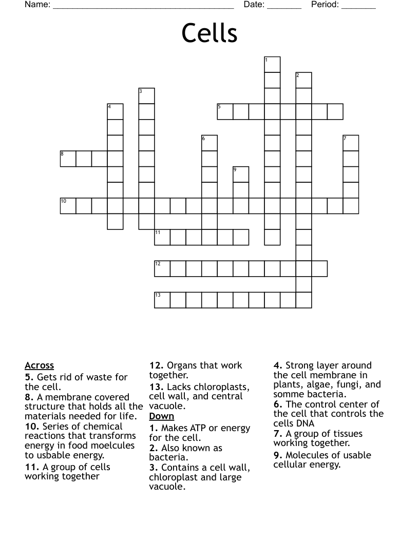 Cells Crossword