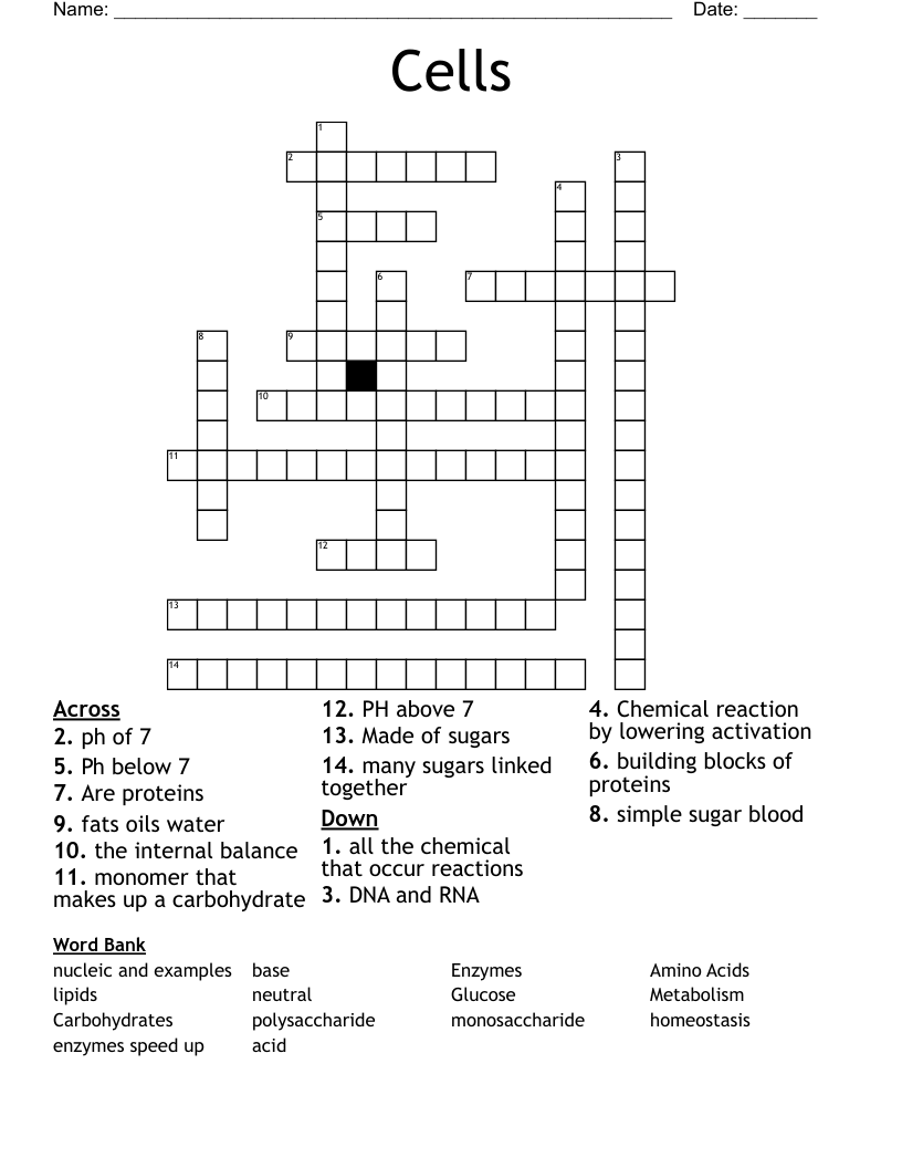 Cells Crossword