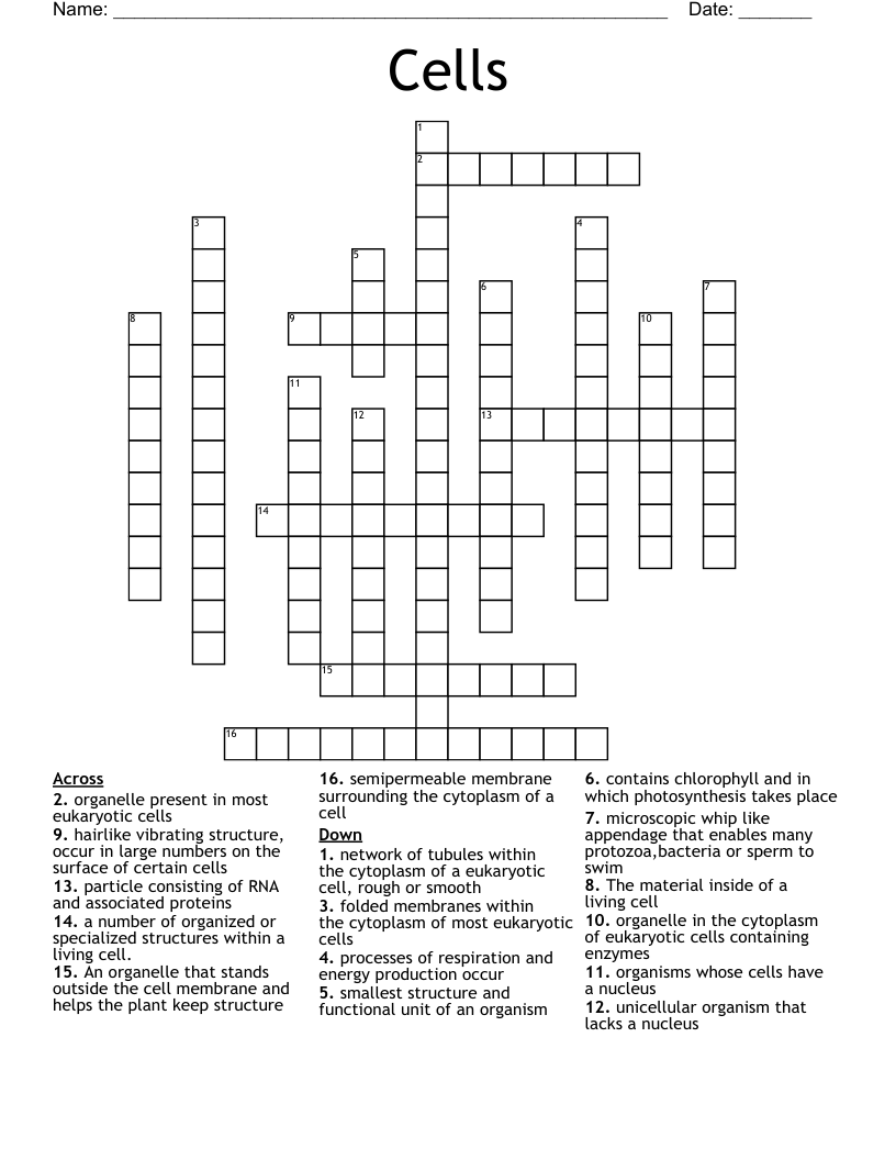 Cells Crossword