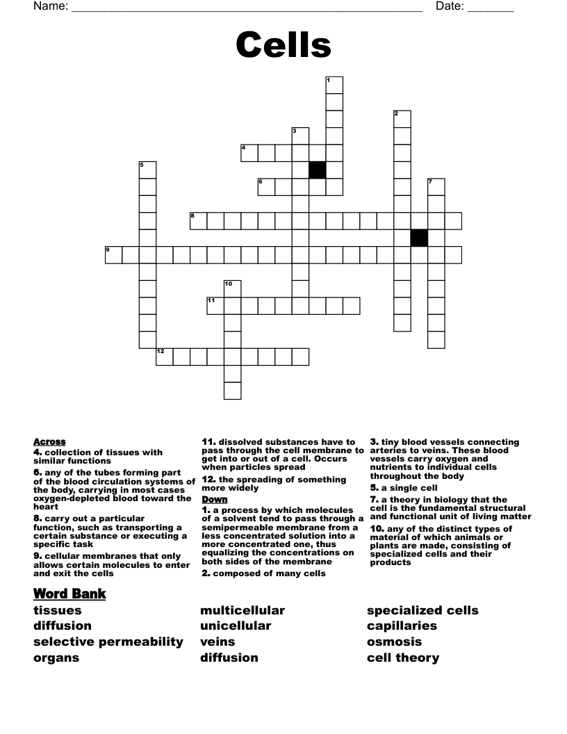 Cells Crossword