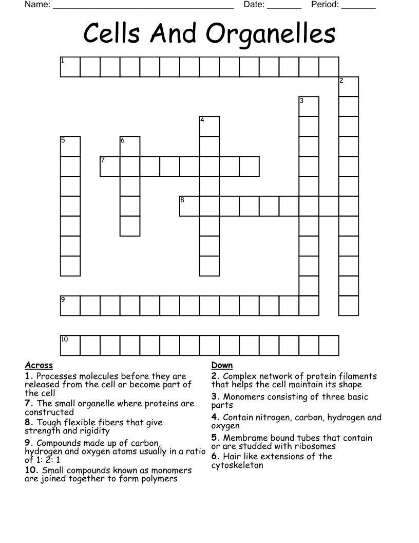 Cells And Organelles Crossword