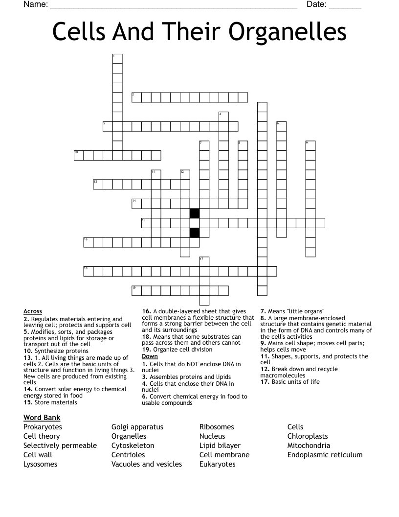 Cells And Their Organelles Crossword