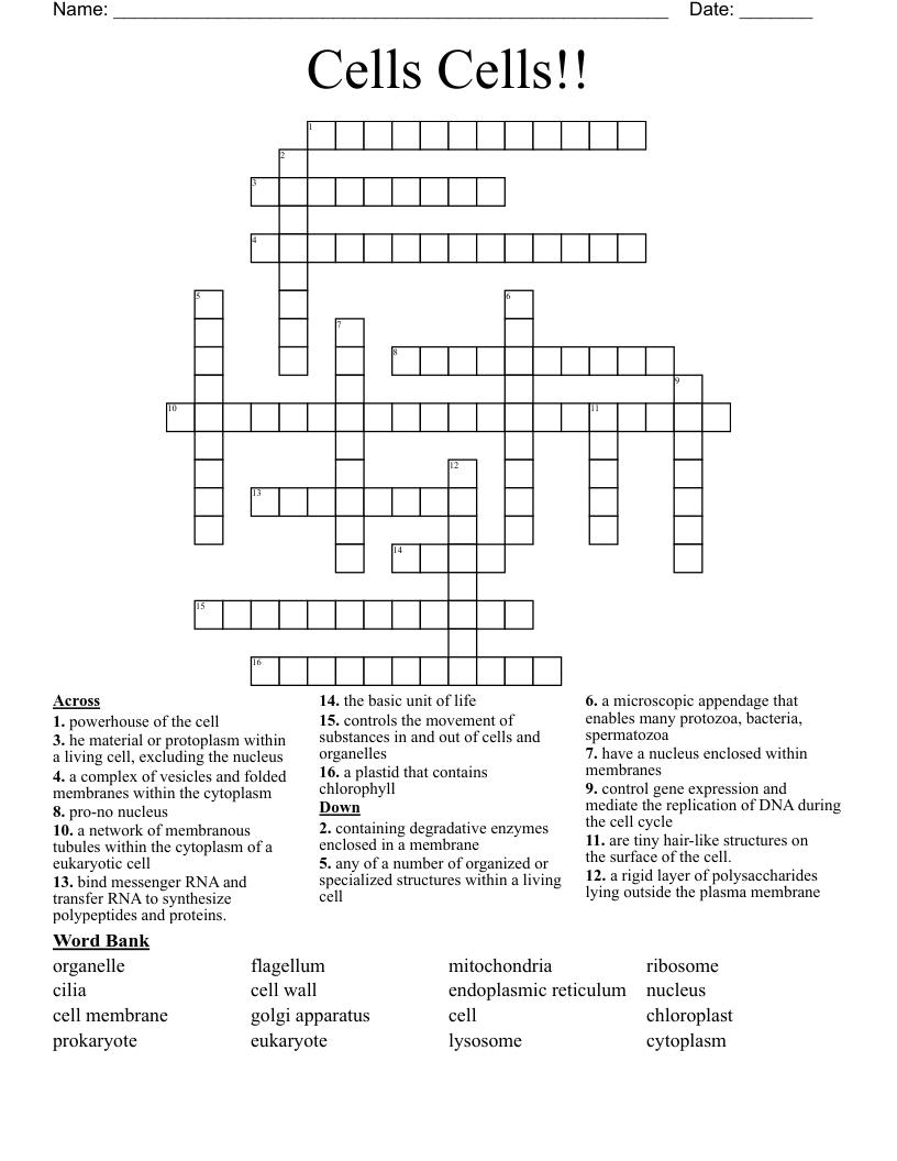 Cells Cells!! Crossword
