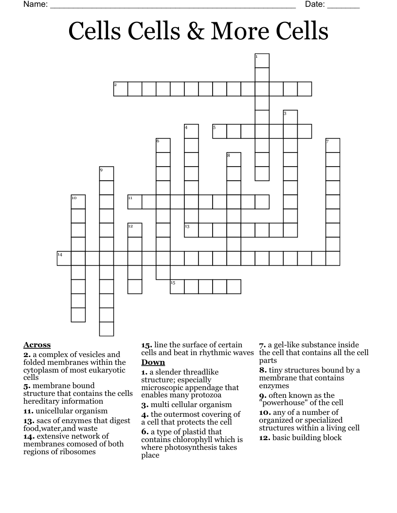 Cells Cells & More Cells Crossword