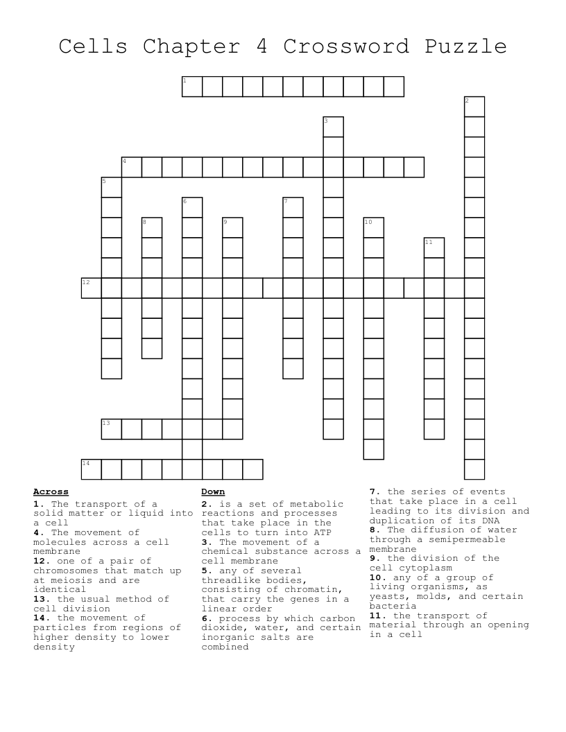 Cells Chapter 4 Crossword Puzzle