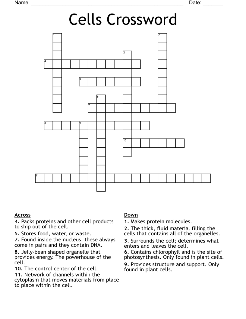 Cells Crossword