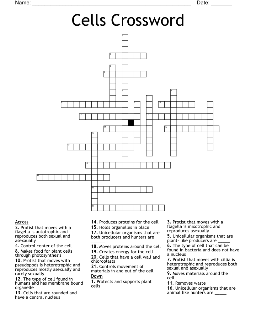Cells Crossword