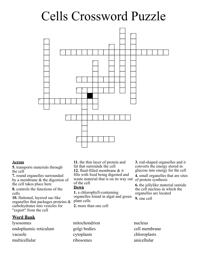 Cells Crossword Puzzle
