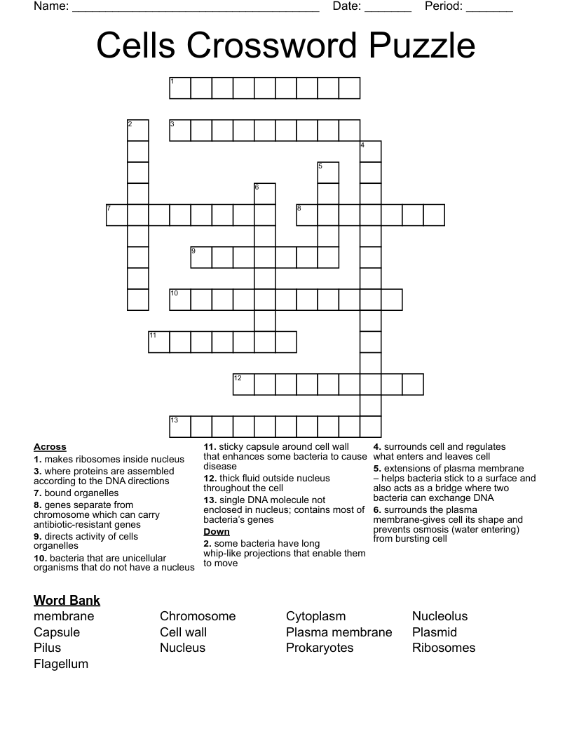 Cells Crossword Puzzle