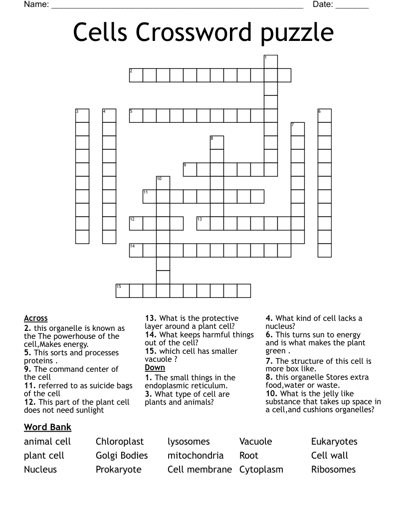 Cells Crossword puzzle
