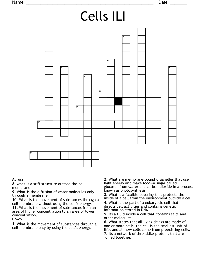 Cells ILI Crossword